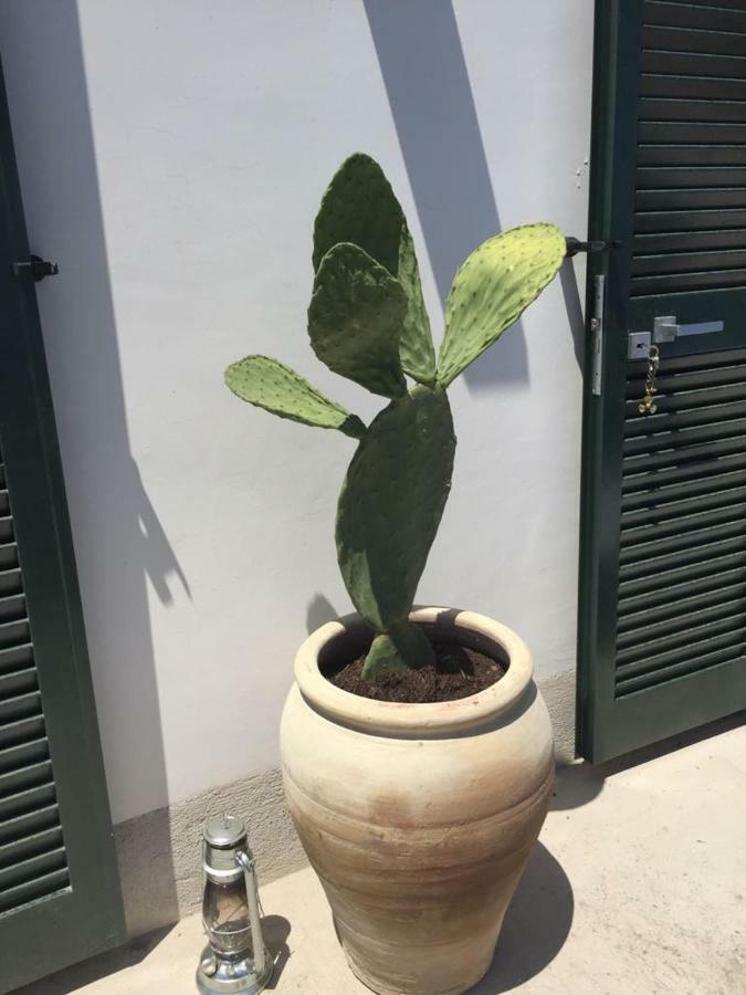 Casa Bianca Amore 阿马尔菲 外观 照片
